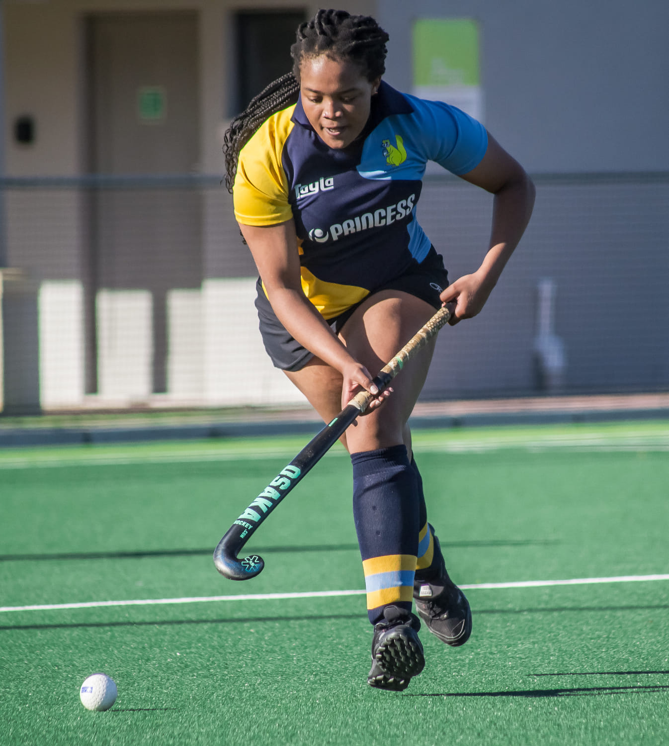 https://www.pinelandshockey.co.za/wp-content/uploads/2025/01/2.jpg